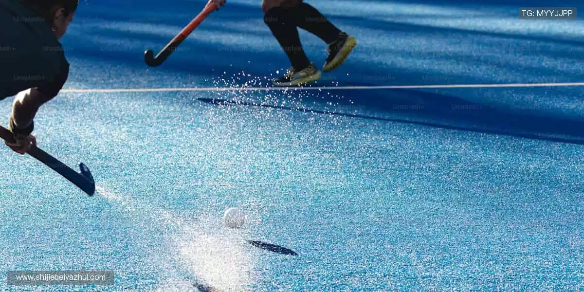 高清画质，畅享赛事！🎥🏒